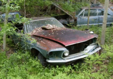 Abandoned Junkyard in Michigan