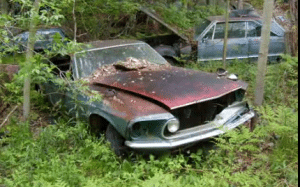 Abandoned Junk Yard in Michigan