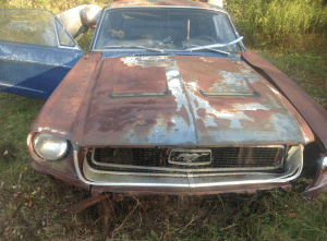 Craigslist Mustang