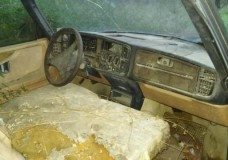 Rotted Dashboard
