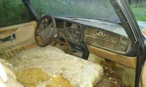 Rotted Dashboard